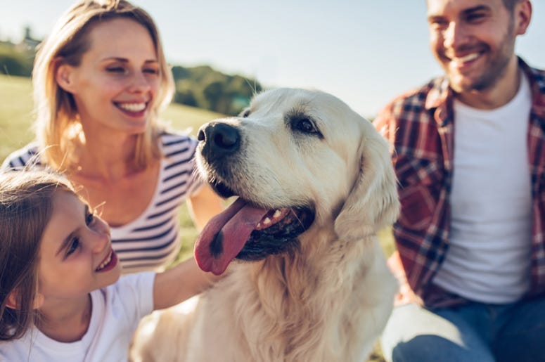 Family_Dog