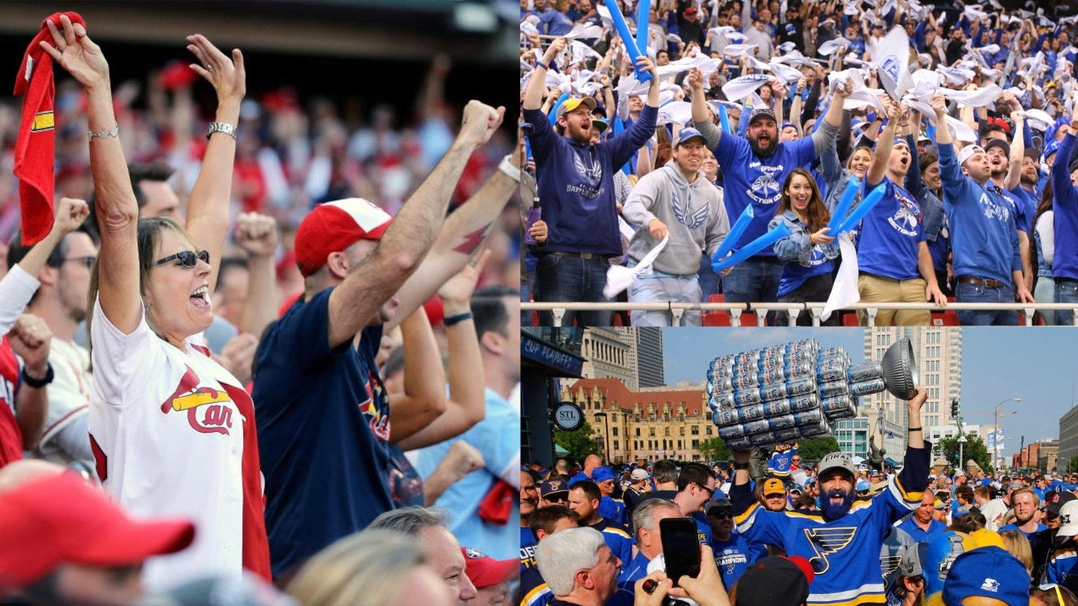 St. Louis snubbed by Forbes list of 'Most Passionate' sports fans