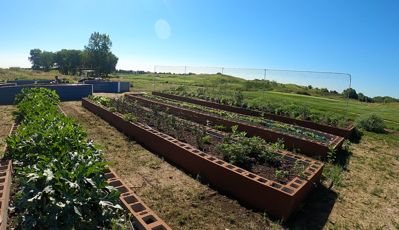 garden at golf course