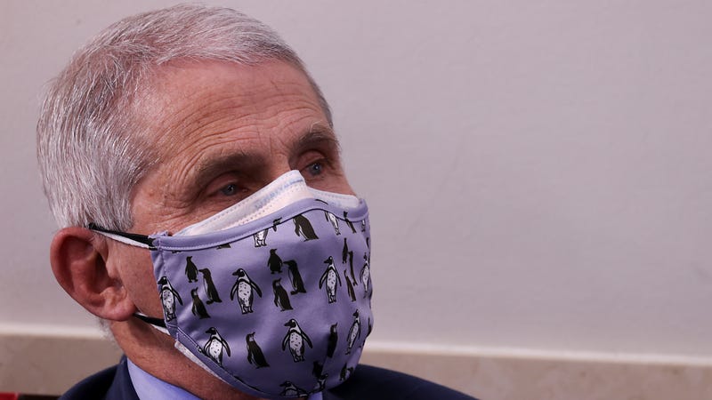 Dr. Anthony Fauci