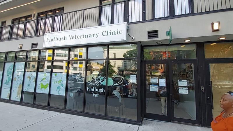 Flatbush Veterinary Clinic, Brooklyn