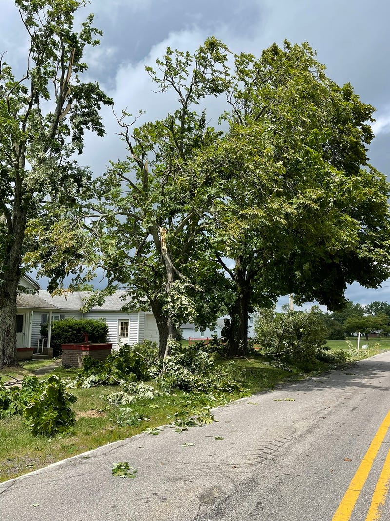 Wind Damage