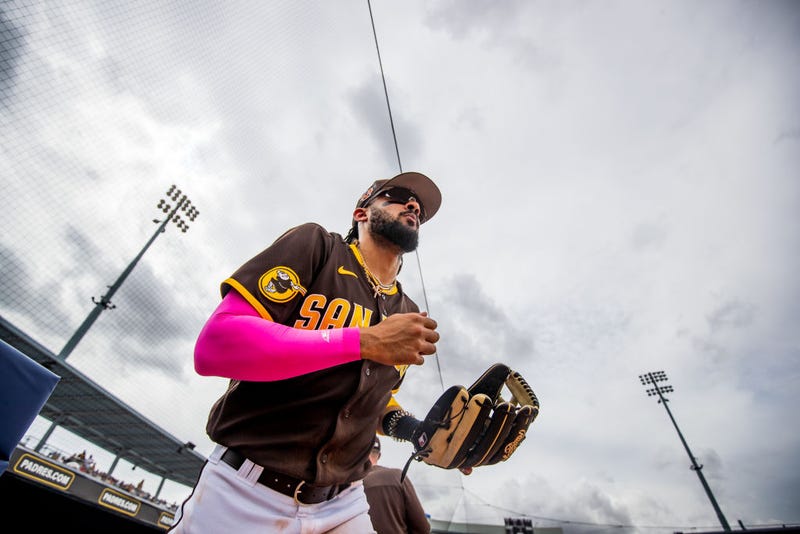 Fernando Tatis jr.