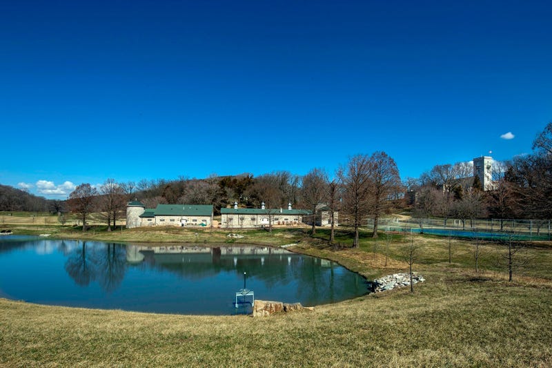 the estate
