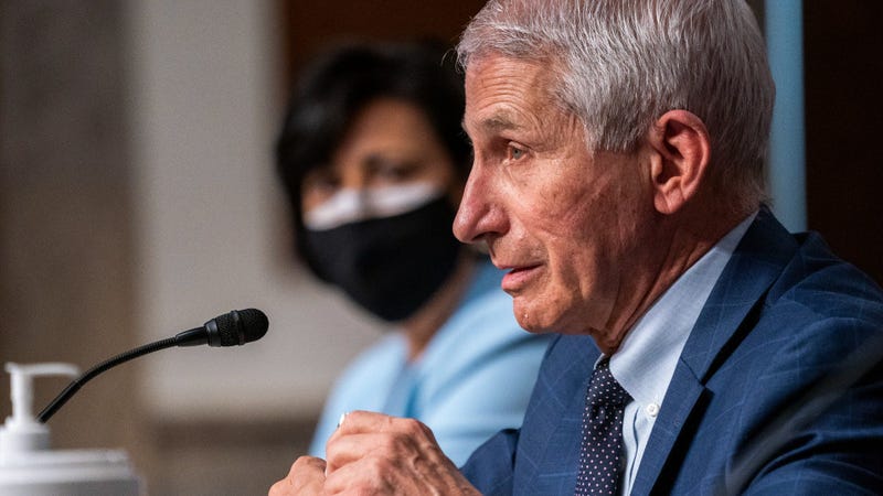 Anthony Fauci