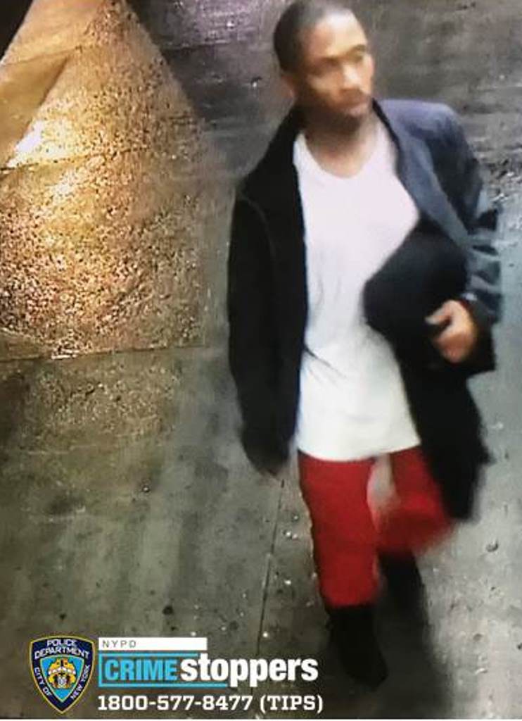 Suspect in Bronx break-in, sex assault.