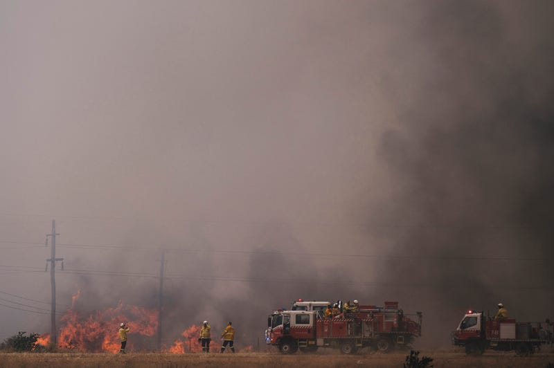 Wildfire Australia