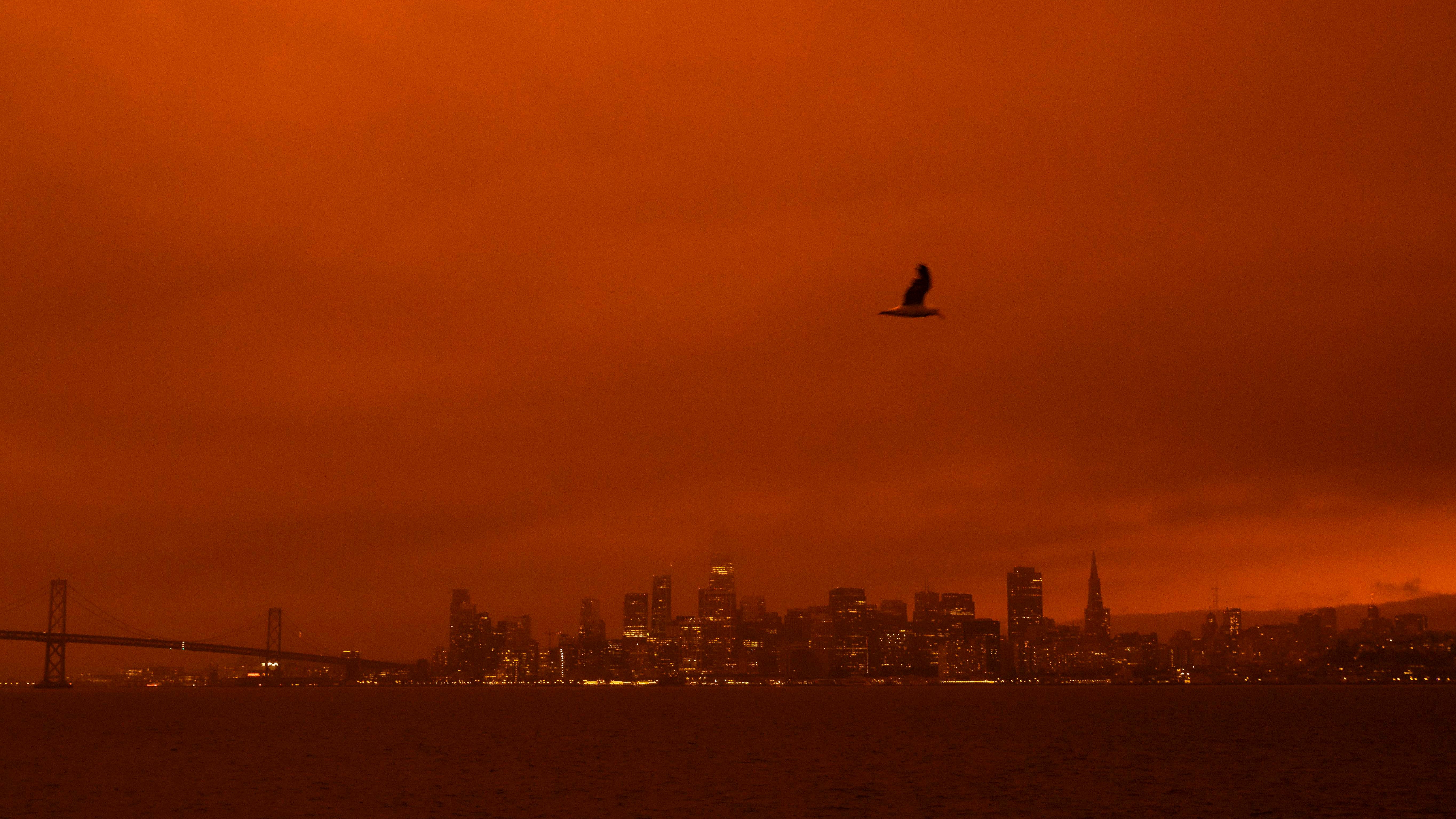 Believe it or not, conditions are ripe for wildfires in Chicago region