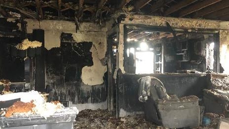 Gofundme seeks help for Westland couple who lost their home, belongings and dog 'Cupcake' in devastating fire