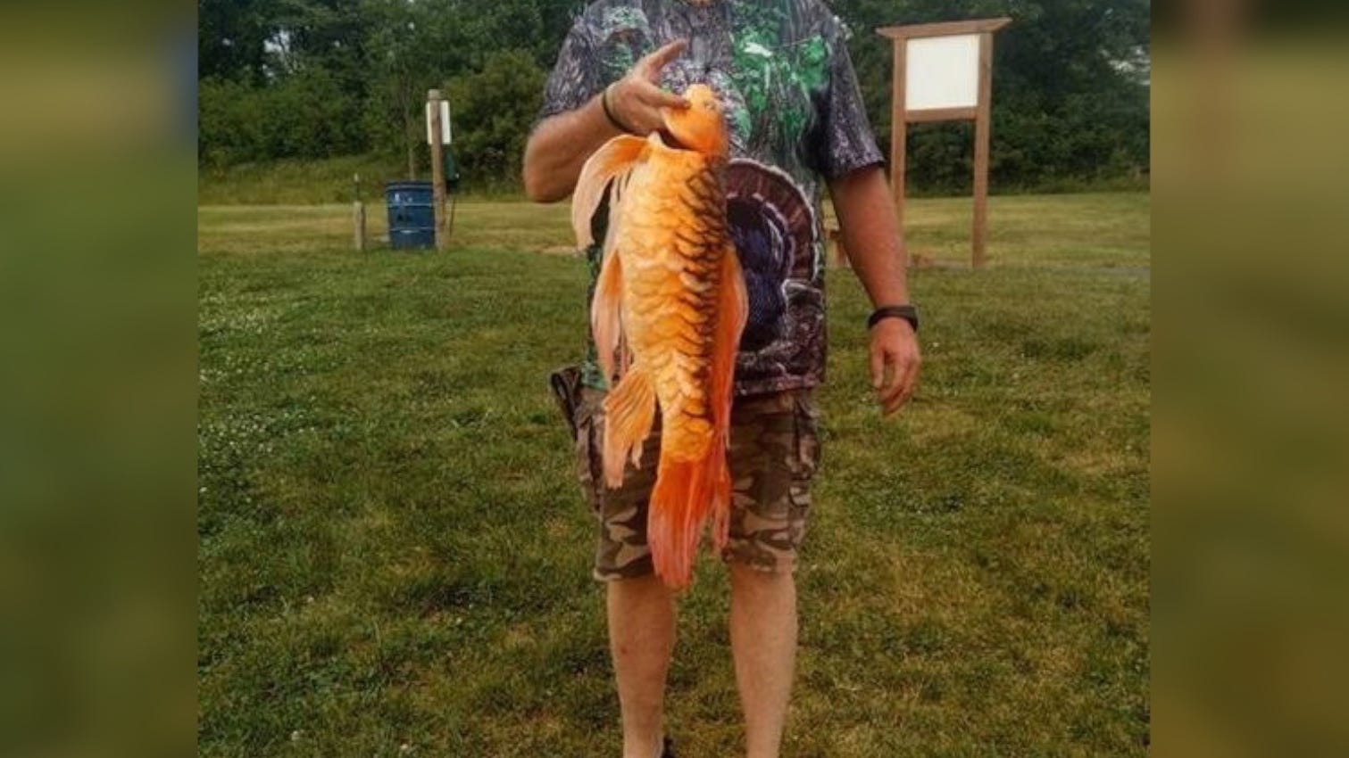 'Don't dump pets': Warning sparked by exotic fish caught in lake