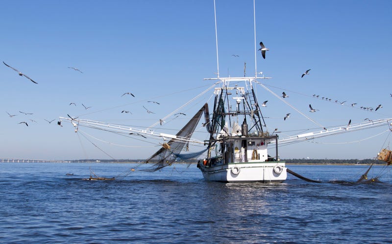 Federal report says pandemic hit seafood industry hard