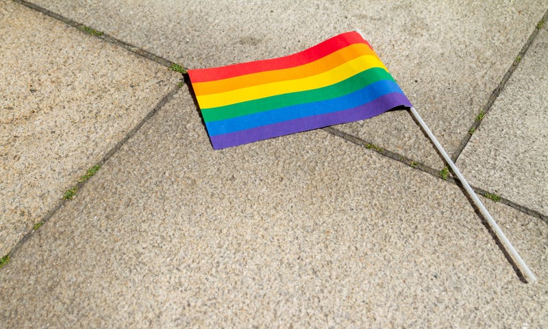 LGBTQ flag