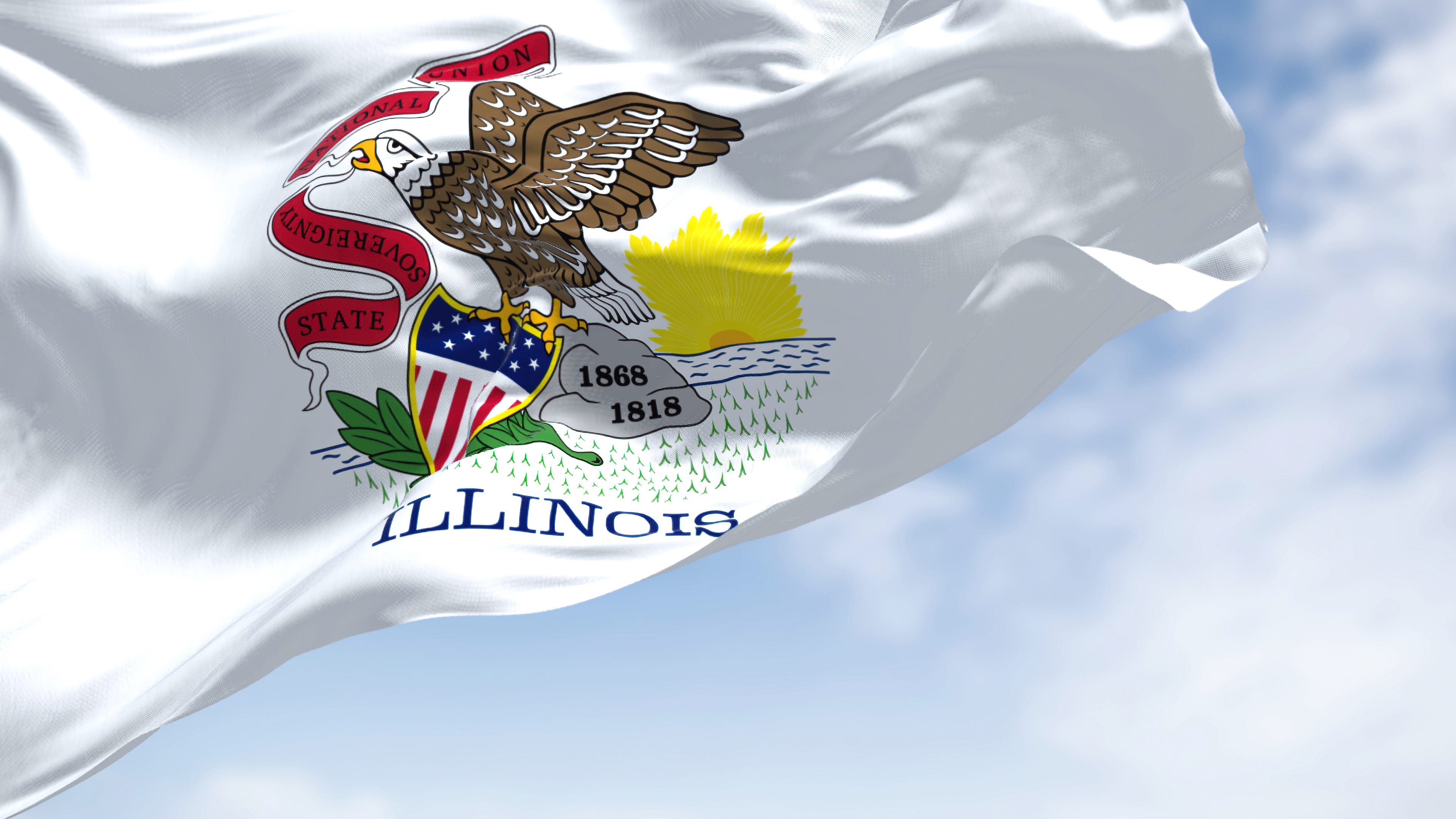 Illinois to require employers to offer paid leave, for any reason