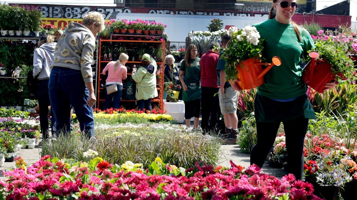 In full bloom: Eastern Market's Flower Day expected to draw over 200,000 visitors this Sunday