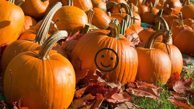 Halloween Happenings in ATX / CTX