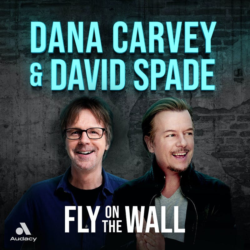Fly On The Wall