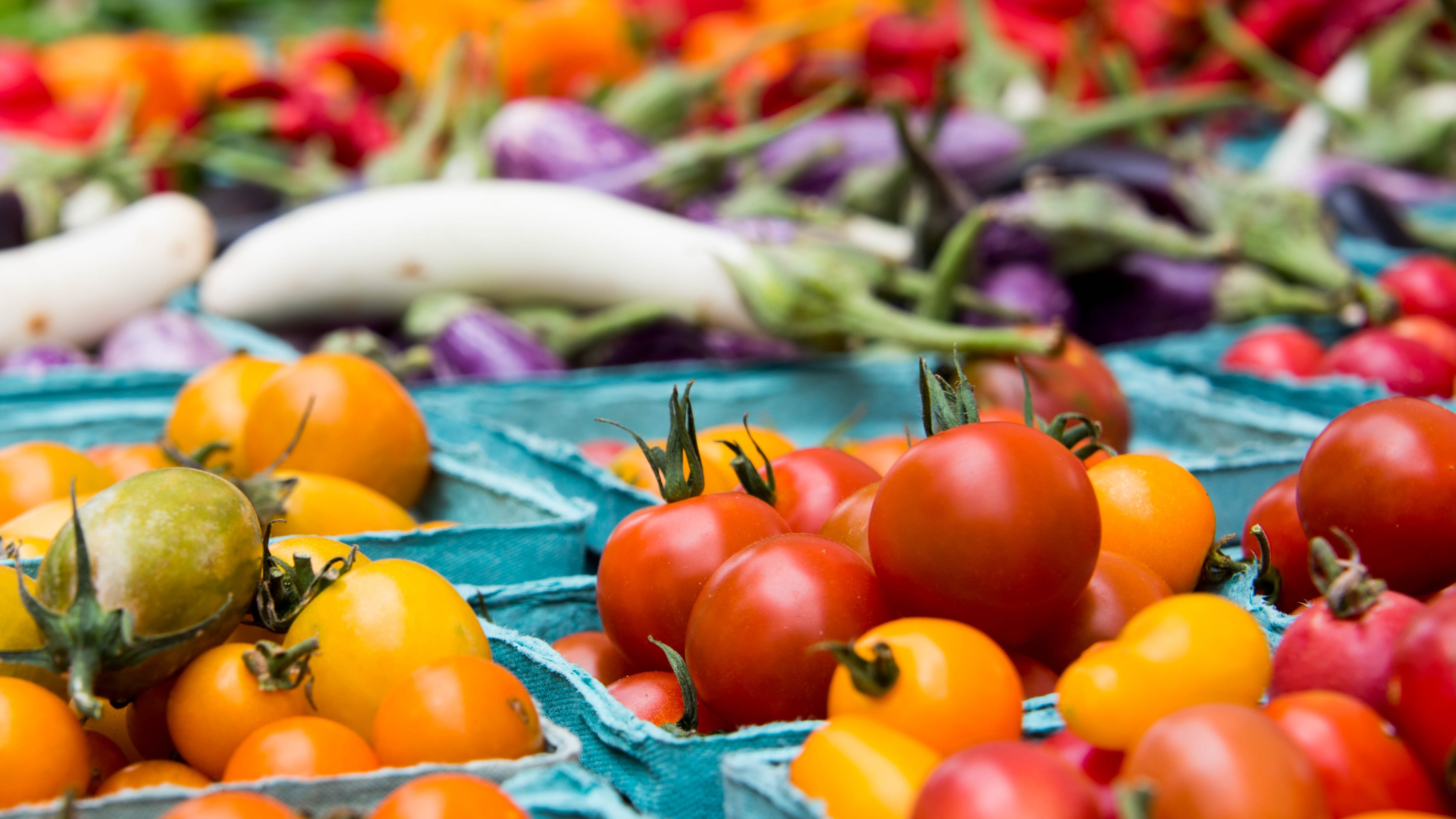 Logan Square Farmers Market goes on hiatus this weekend – a blow to some produce sellers