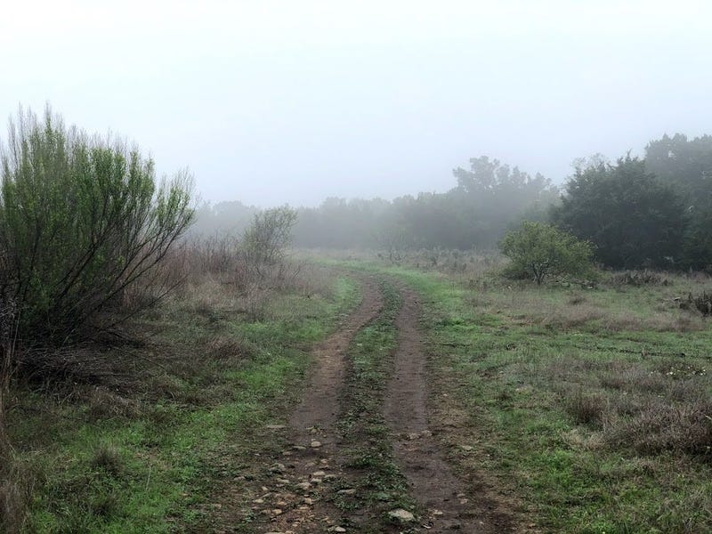 foggy