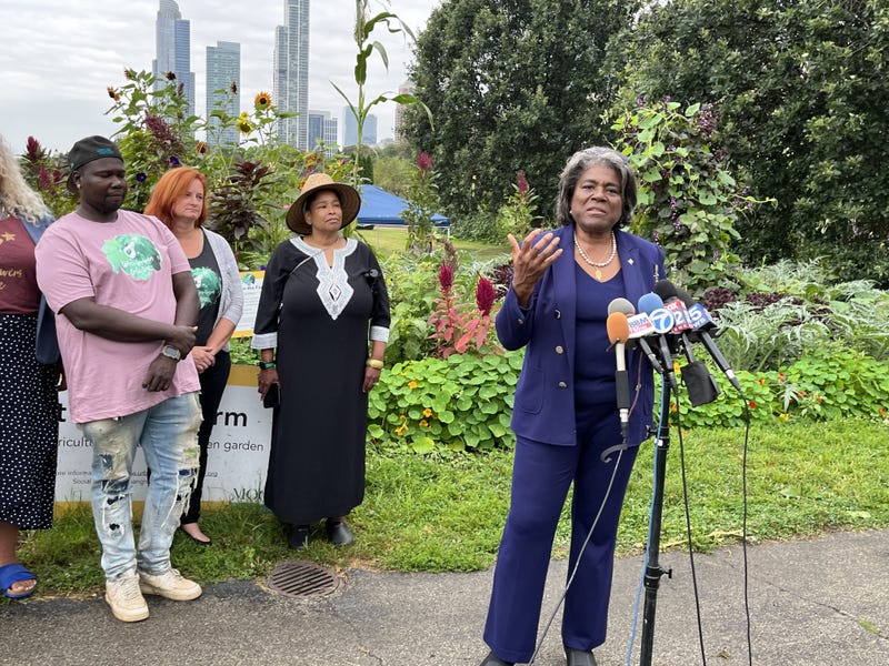 UN Ambassador Linda Thomas-Greenfield