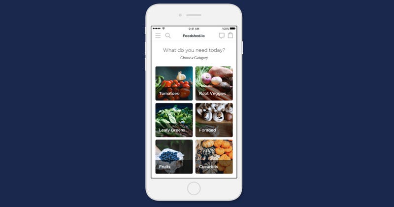 Screenshot of Foodshed.io app with tiles