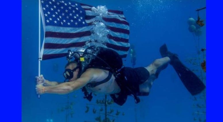 Dive