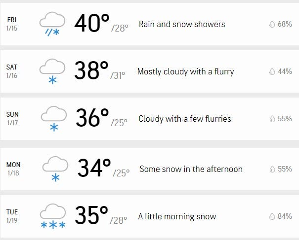 AccuWeather forecast for Detroit