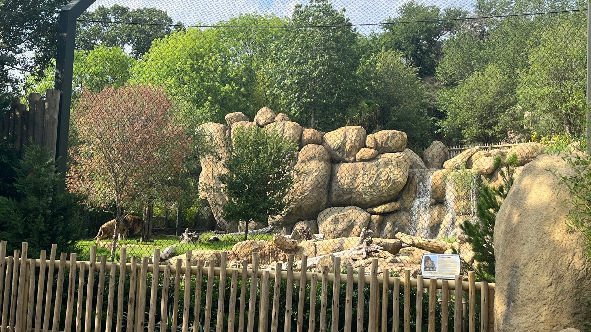 Fort Worth Zoo opens 'Predators of Asia & Africa' exhibit