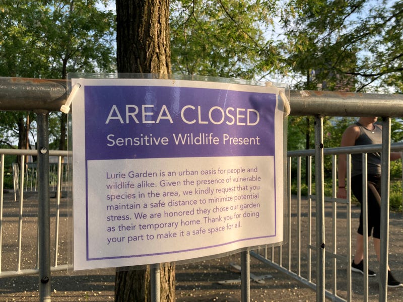 sign on tree