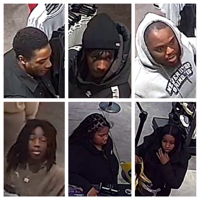 Retail fraud suspects are pictured