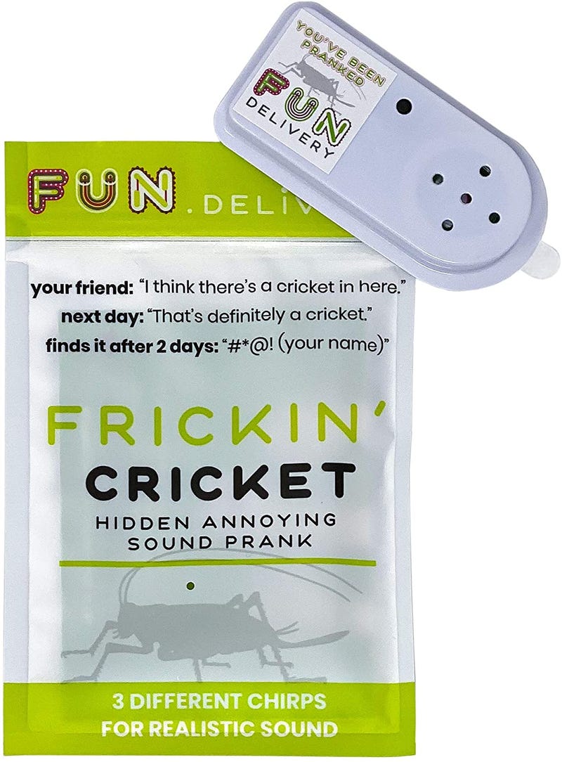 Hidden chirping cricket