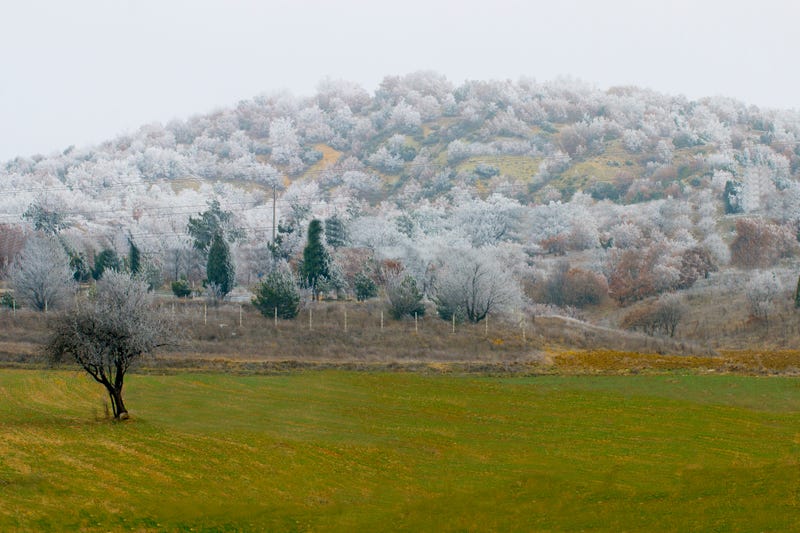 Frost Warning, Minnesota
