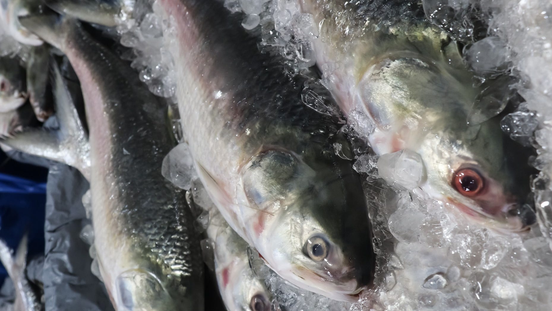 Man charged in assault with 4-pound frozen fish after argument at Warren fruit market