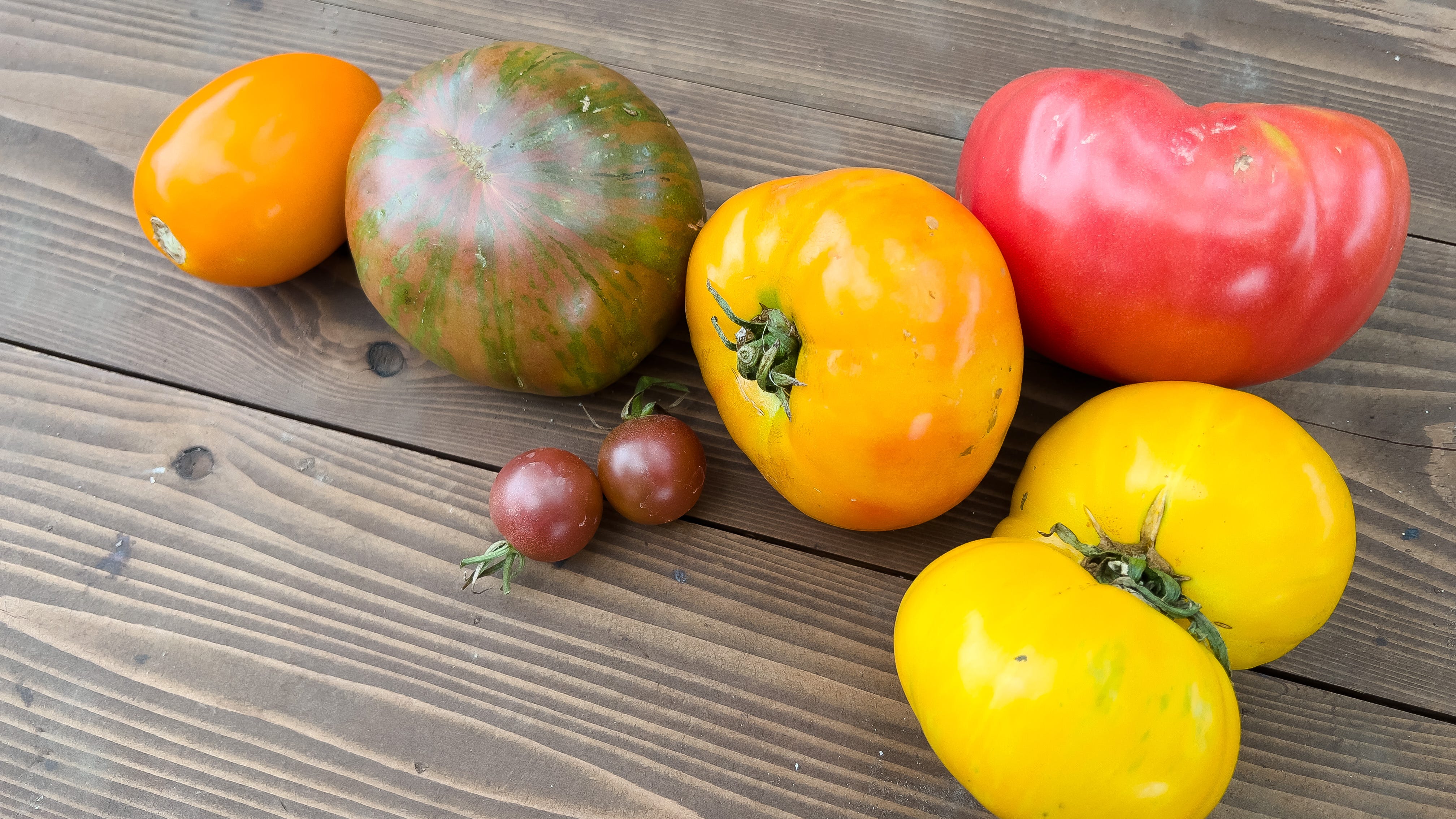 An August checklist for every gardener