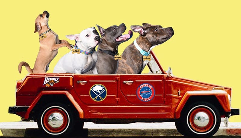 JAX, STAR, RALPH, WILMA