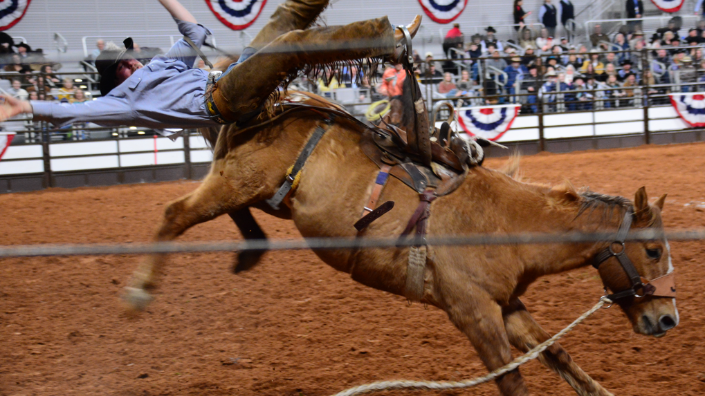 Fort Worth offering COVID tests and vaccines at the Stock Show