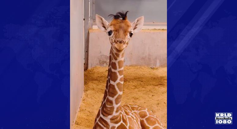 Fort Worth Zoo