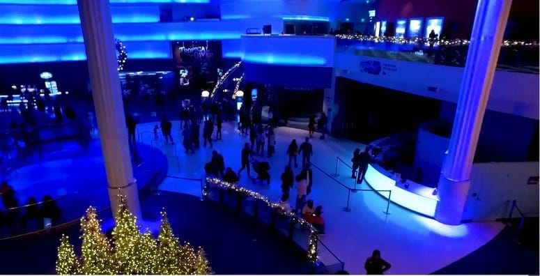 Georgia Aquarium Christmas Decor