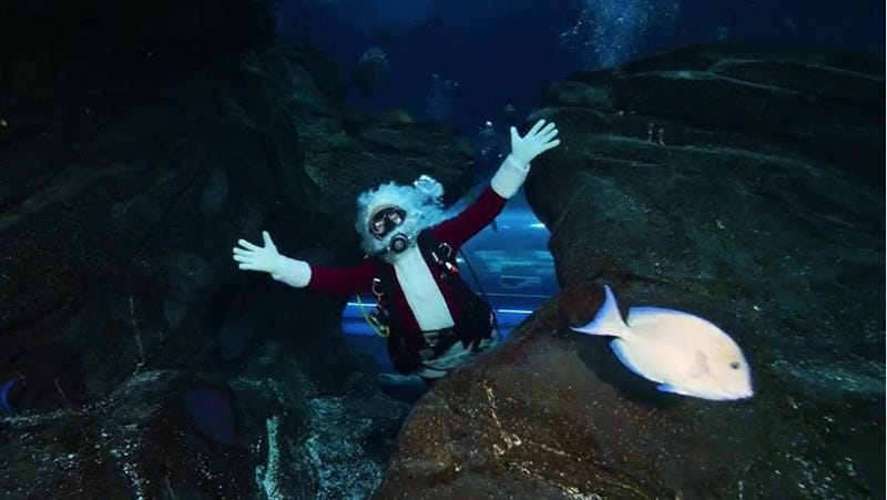 Georgia Aquariums Winter Waterland