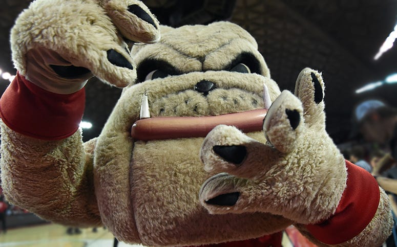 UGA Bulldogs