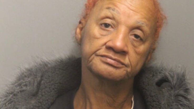 Schizophrenic woman killed her 87-year-old mother after money argument: prosecutors
