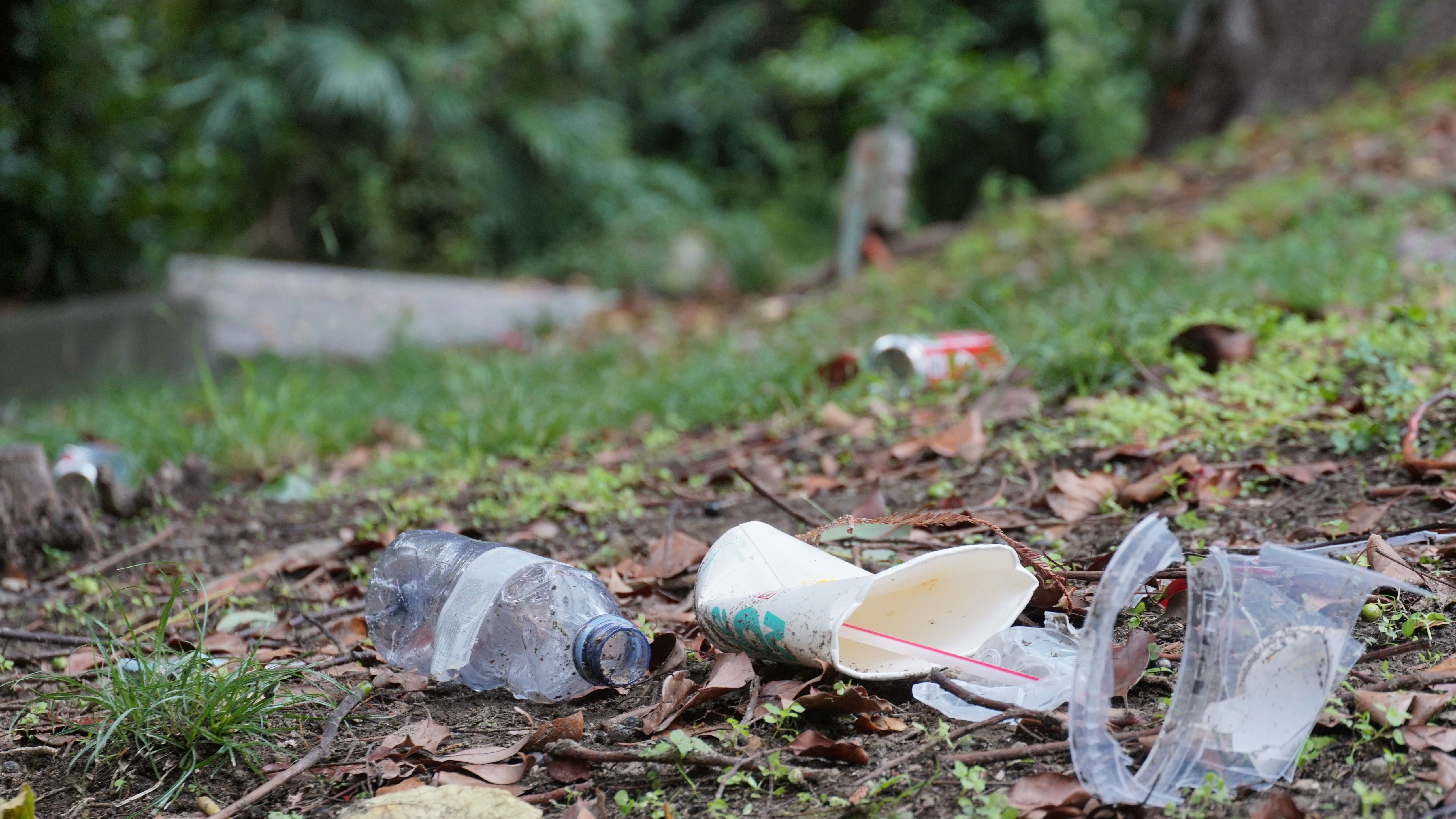 Mayor to park visitors: Don't litter