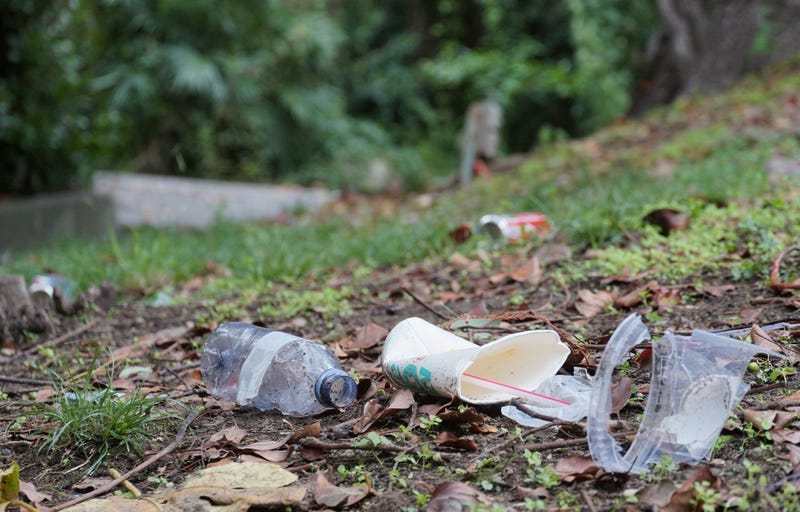 litter