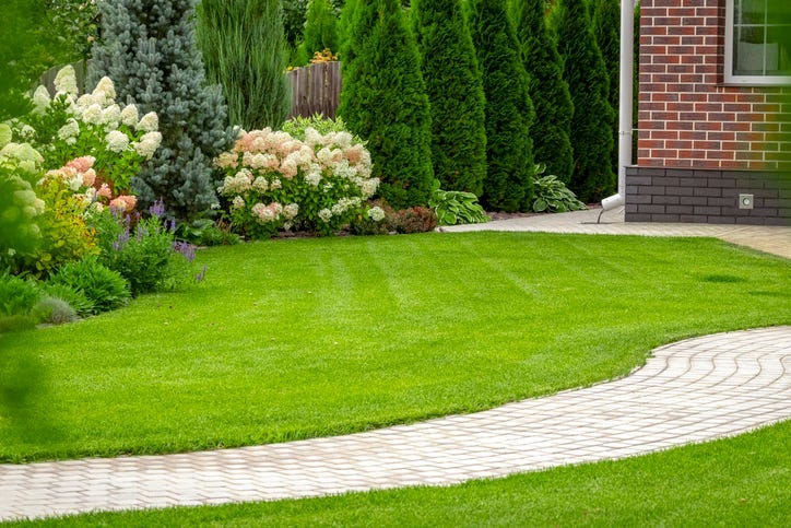 Front yard garden