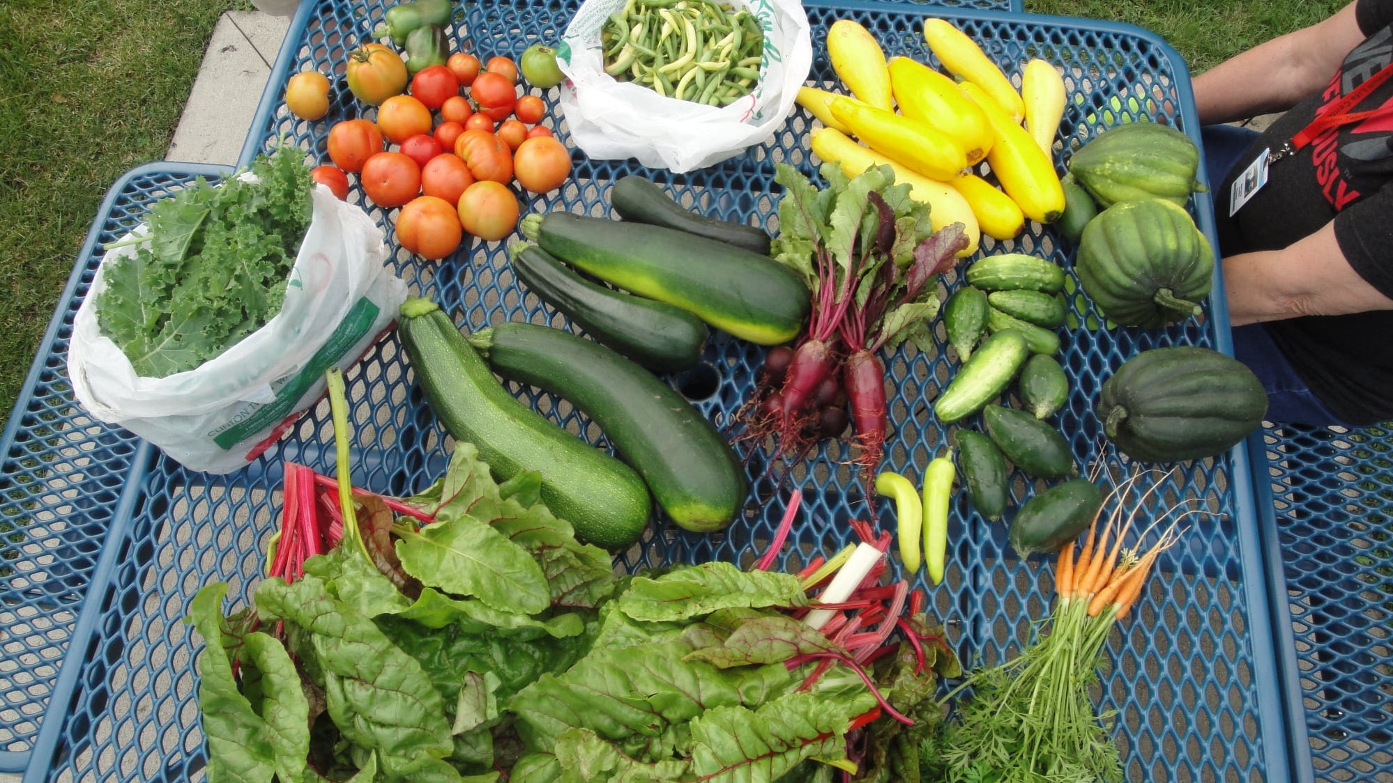 Veggie heist: Clinton Twp. seniors devastated to find community garden stripped bare