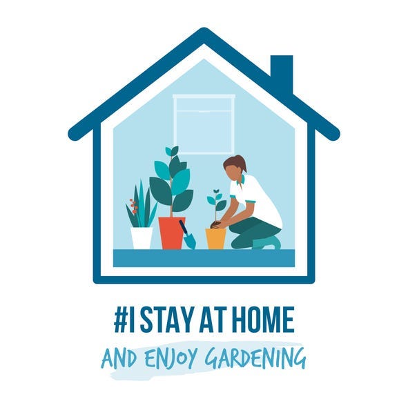 gardening 