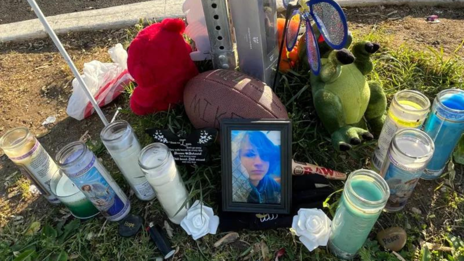 Suspect still unknown in deadly stabbing of 15-year-old in Delaware County