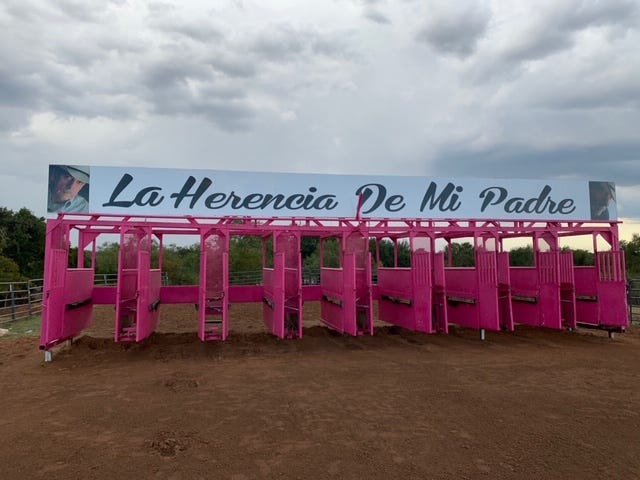 Illegal Horse Race Track