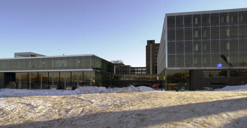 Star Tribune via Getty Images / Contributor