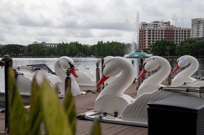 Downtown Orlando Swan Boat