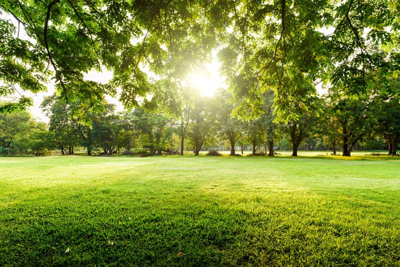 Park